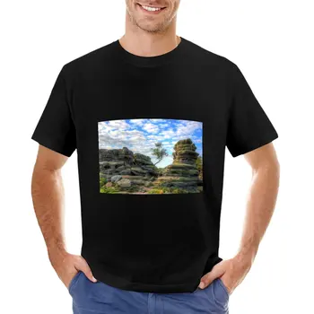 Футболка Brimham Rocks North Yorkshire 5, однотонная футболка, рубашка с животным принтом для мальчиков, одежда для мужчин