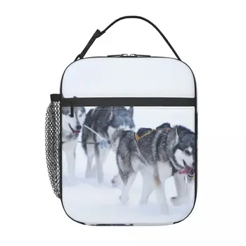 Собака Хаски Зимой, школьная сумка для ланча, Оксфордская сумка для ланча для офиса, путешествий, кемпинга, термоохладитель, ланч-бокс